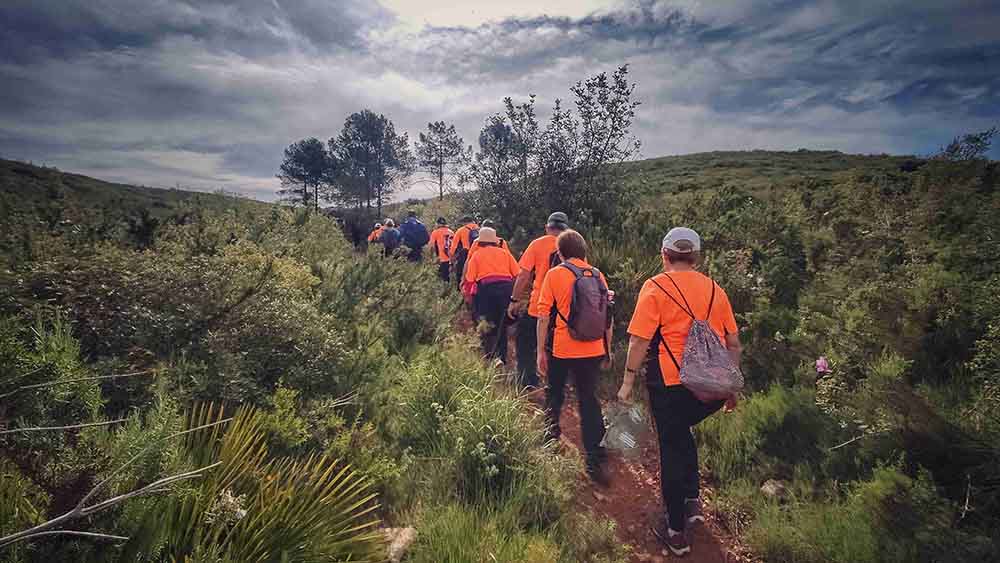 El Realenc de Carcaixent