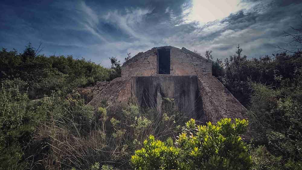 El Realenc de Carcaixent