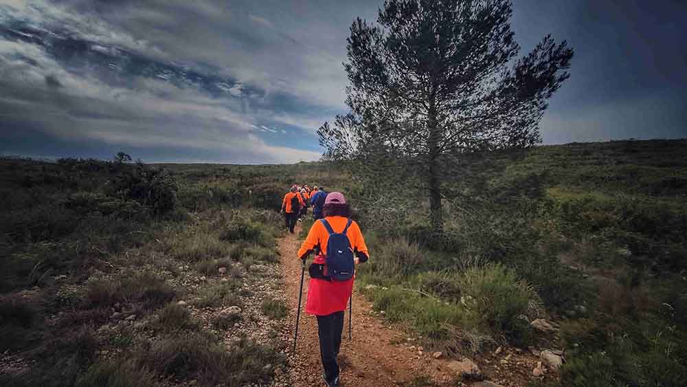 El Realenc de Carcaixent