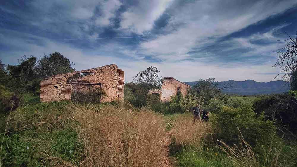 El Realenc de Carcaixent