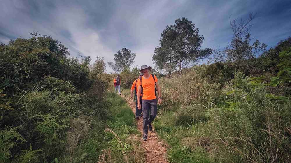 El Realenc de Carcaixent