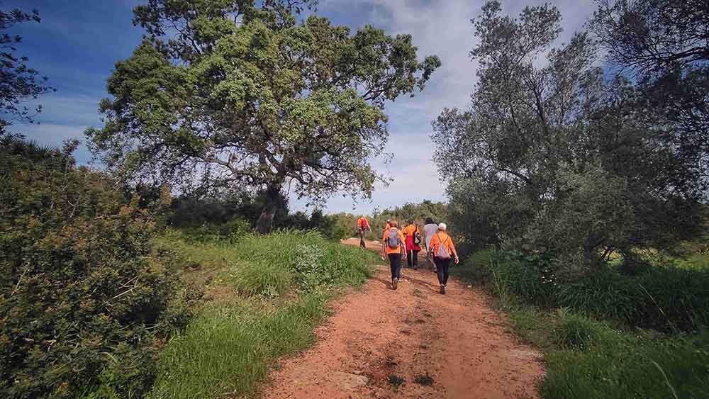 El Realenc de Carcaixent