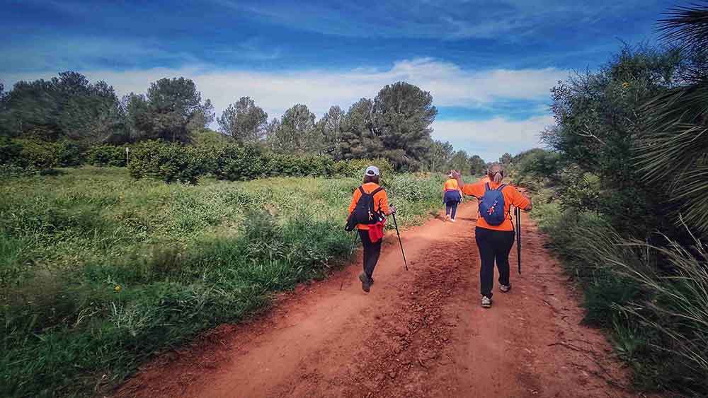 El Realenc de Carcaixent