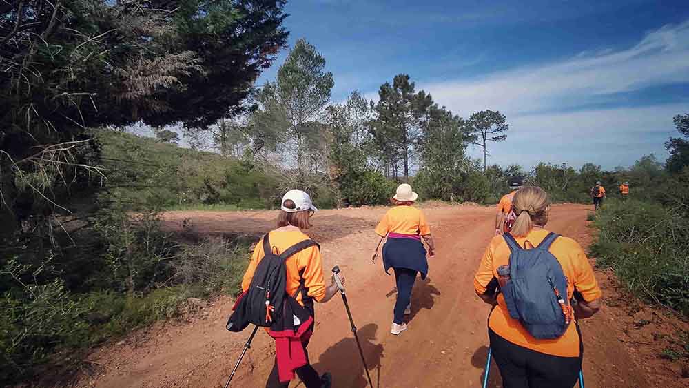 El Realenc de Carcaixent