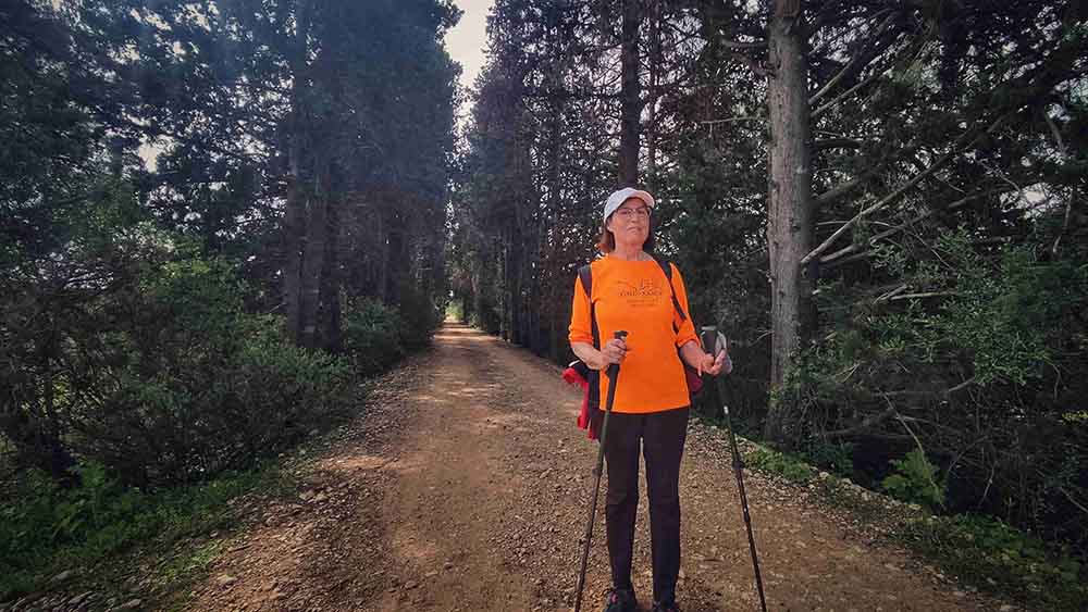 El Realenc de Carcaixent