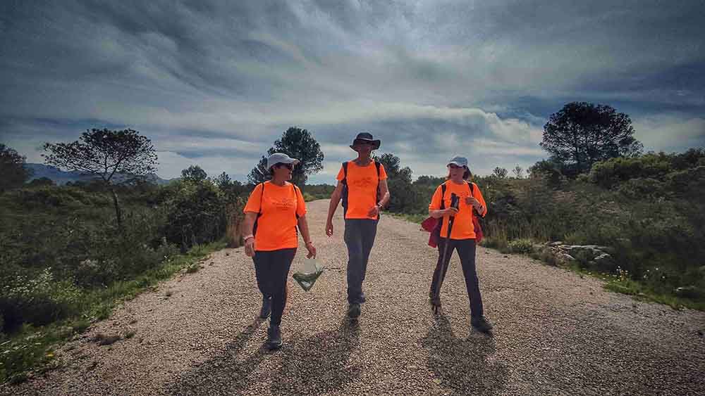 El Realenc de Carcaixent