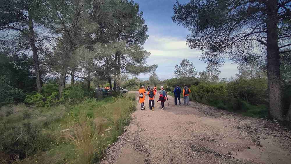 El Realenc de Carcaixent