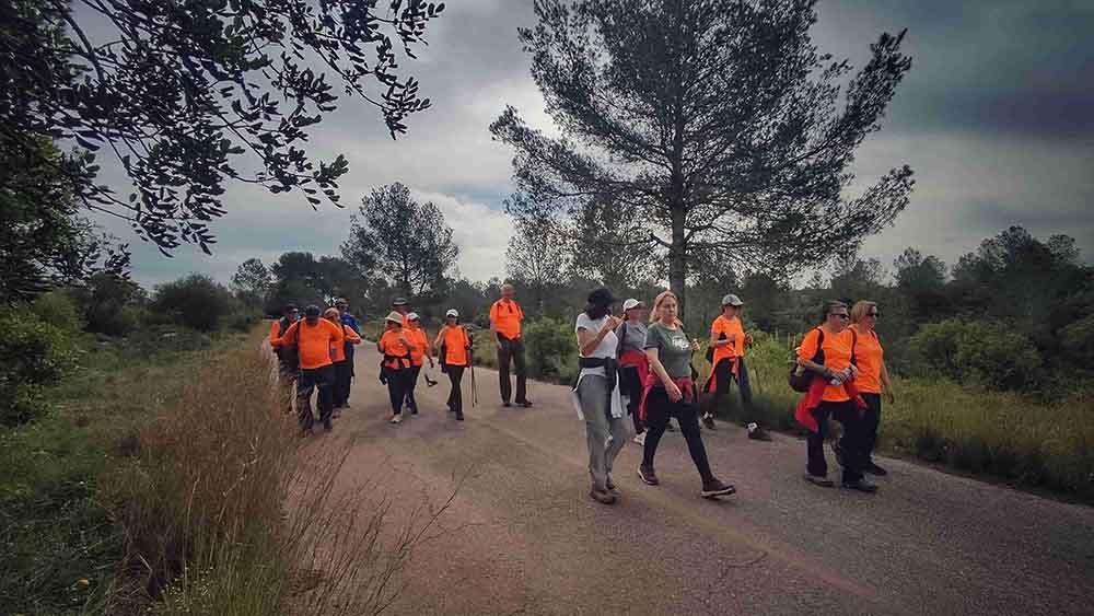 El Realenc de Carcaixent