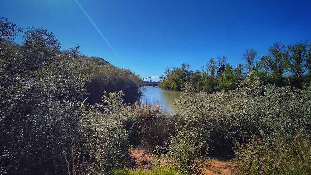 Caminata al Assut de la Marquesa