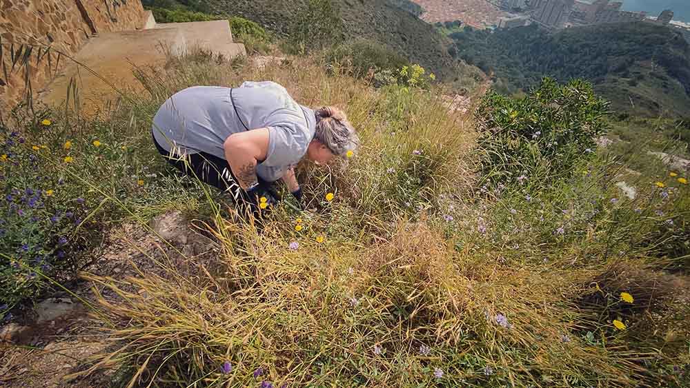 Jornada de limpieza en la montaña