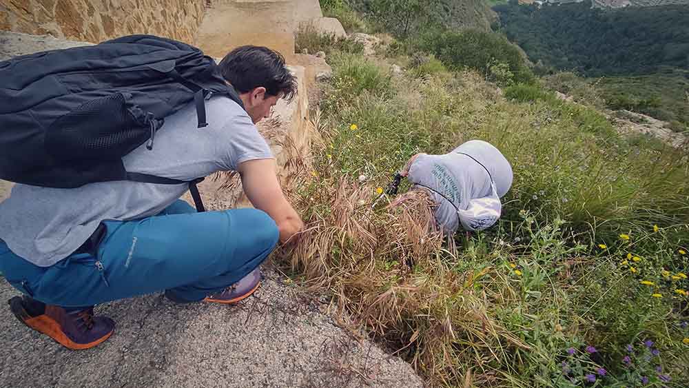 Jornada de limpieza en la montaña