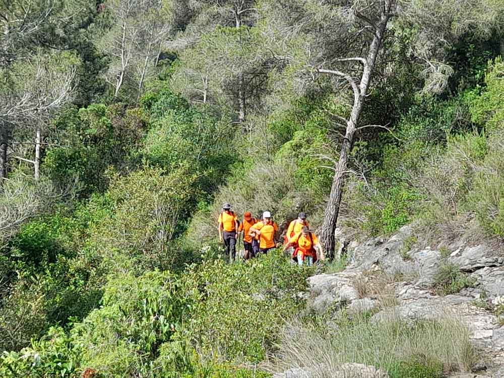 Les fonts de Pla de Corrals