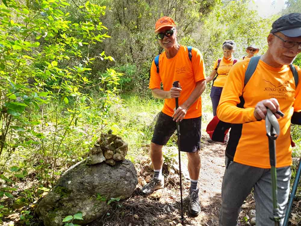 Les fonts de Pla de Corrals