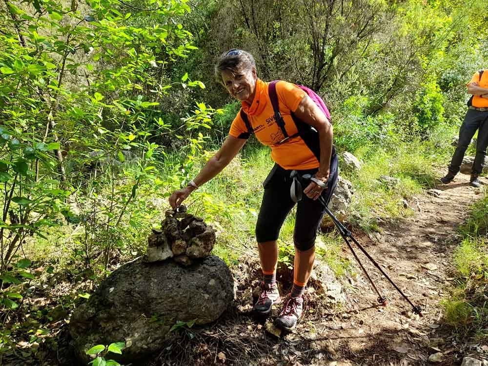 Les fonts de Pla de Corrals