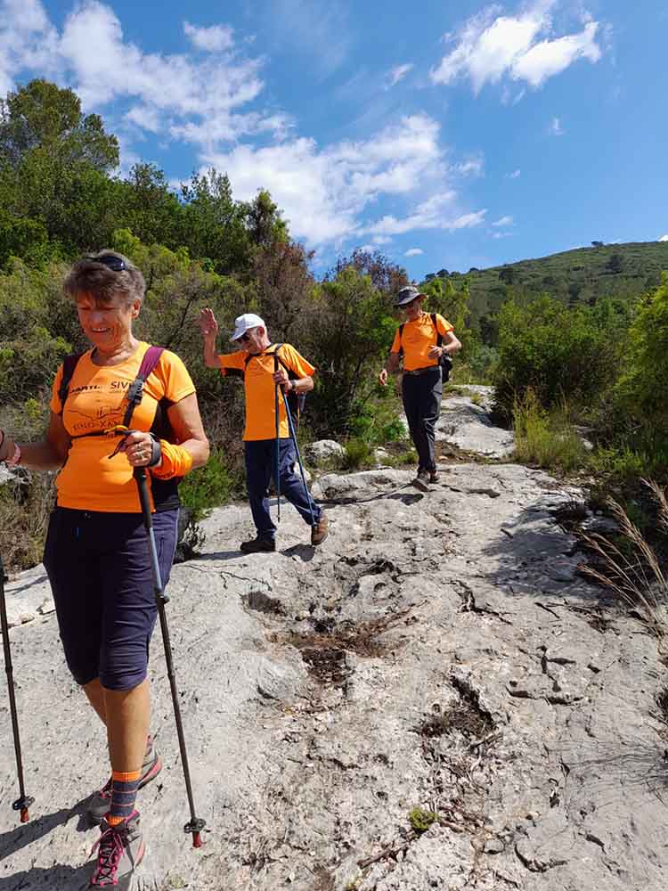 Les fonts de Pla de Corrals