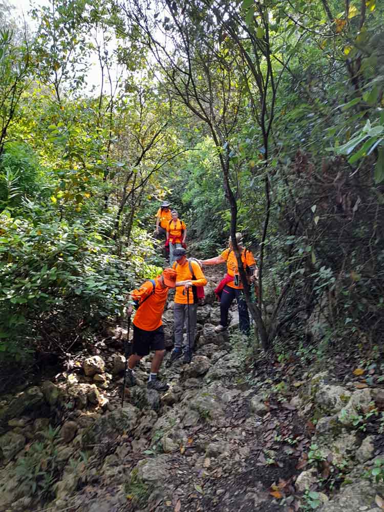 Les fonts de Pla de Corrals