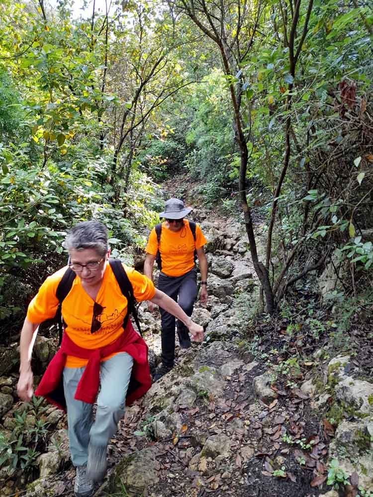 Les fonts de Pla de Corrals