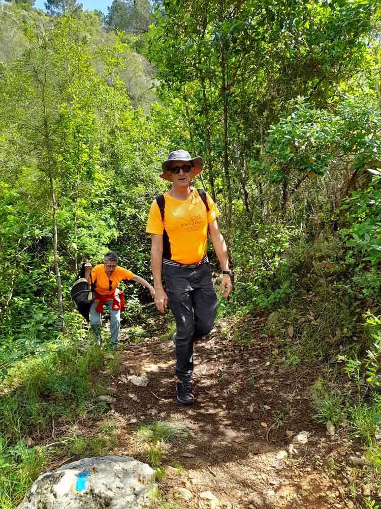 Les fonts de Pla de Corrals