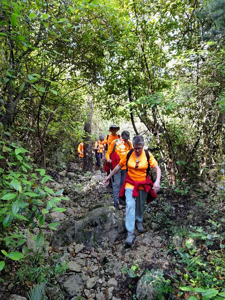 Les fonts de Pla de Corrals