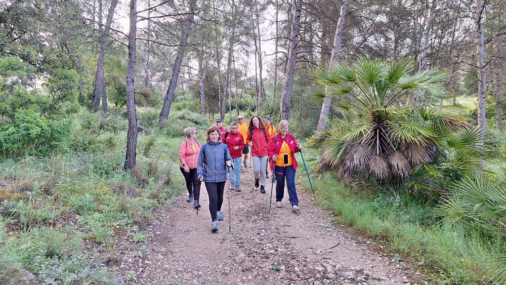 Les fonts de Pla de Corrals
