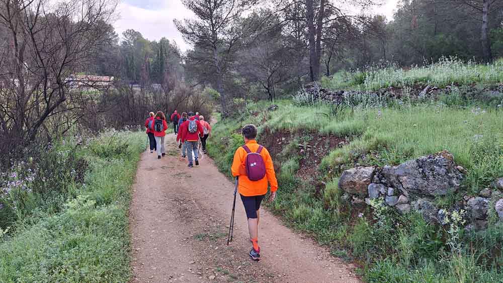 Les fonts de Pla de Corrals