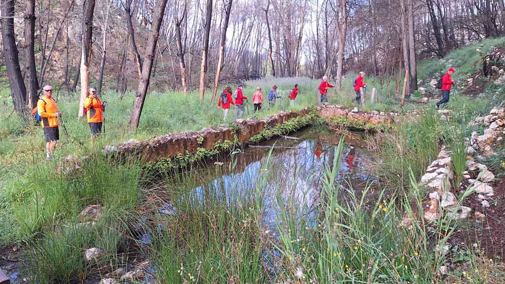 Les fonts de Pla de Corrals
