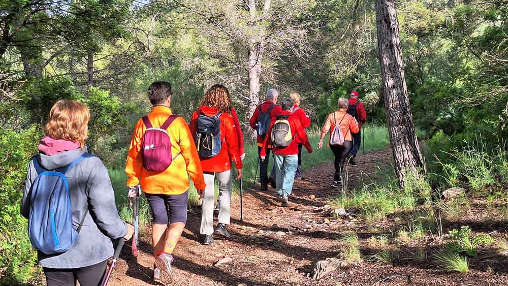 Les fonts de Pla de Corrals