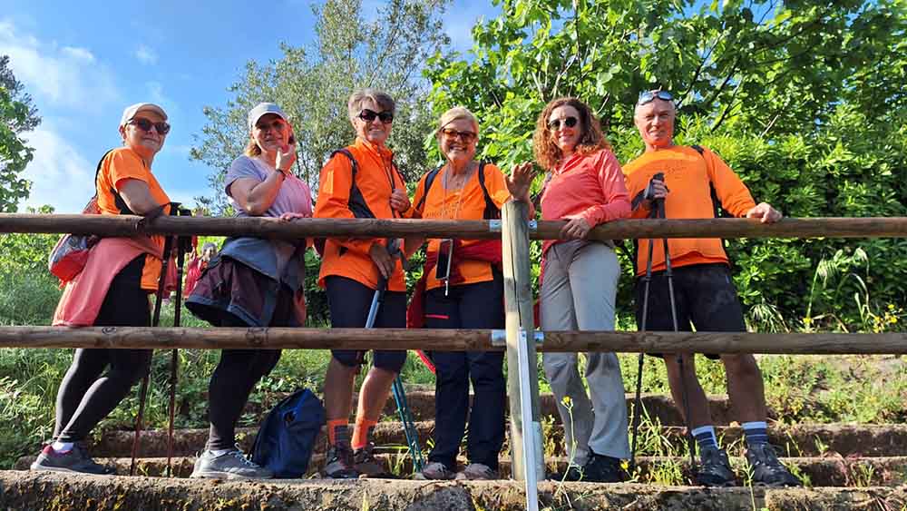 Les fonts de Pla de Corrals