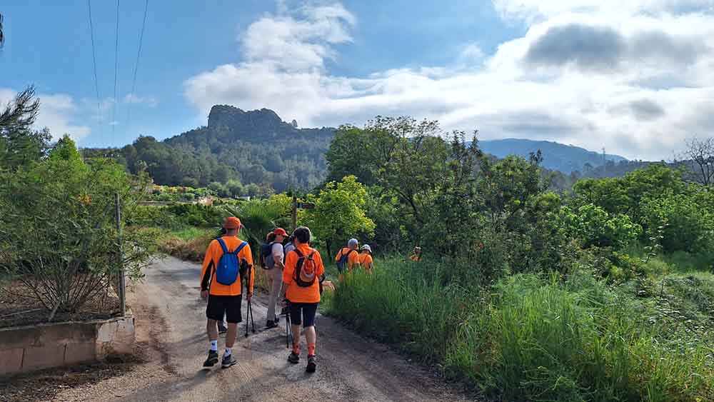 Les fonts de Pla de Corrals
