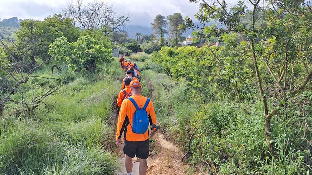 Les fonts de Pla de Corrals