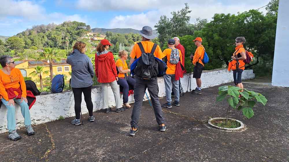 Les fonts de Pla de Corrals