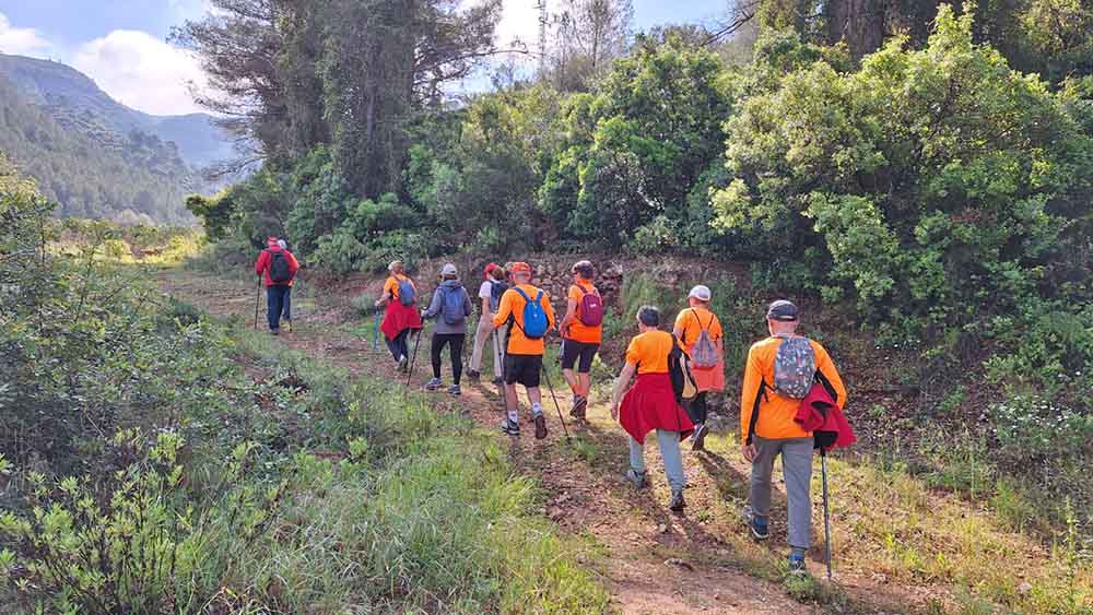 Les fonts de Pla de Corrals