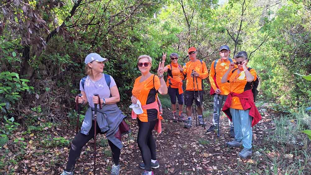 Les fonts de Pla de Corrals