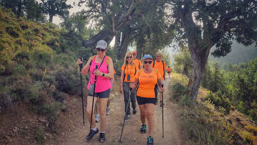 Las fuentes de Manzanera