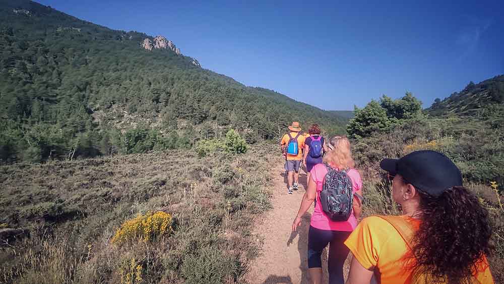 Las fuentes de Manzanera