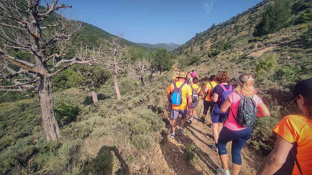 Las fuentes de Manzanera
