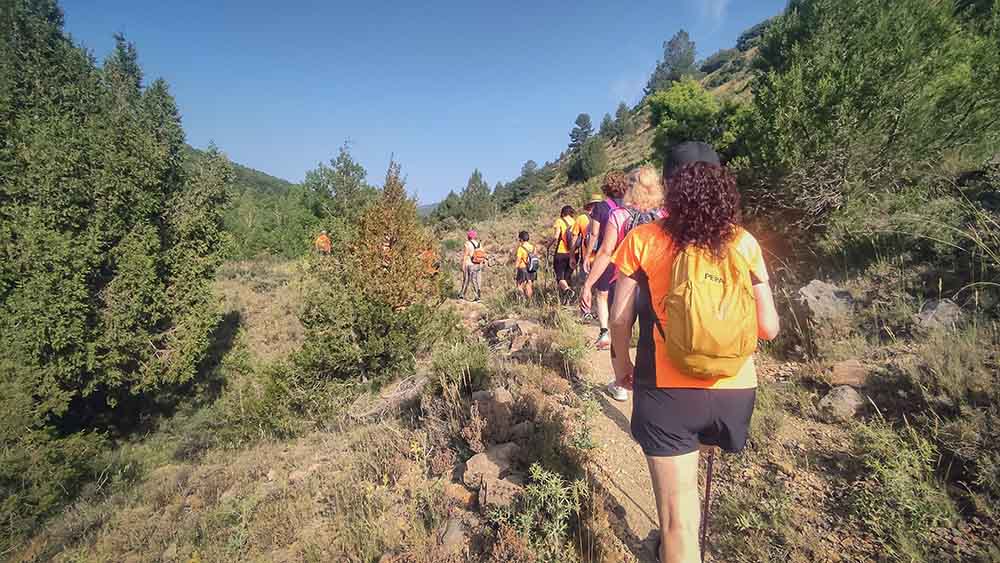 Las fuentes de Manzanera