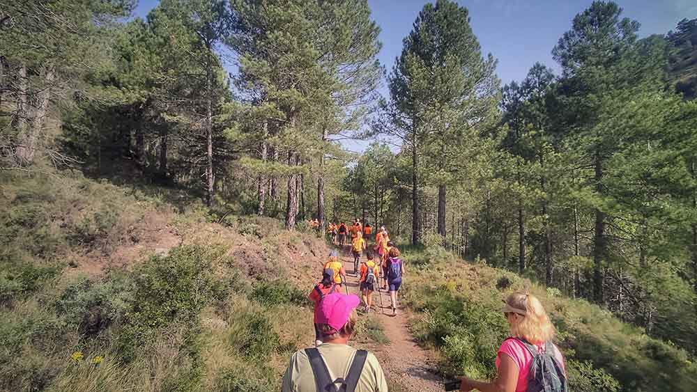 Las fuentes de Manzanera