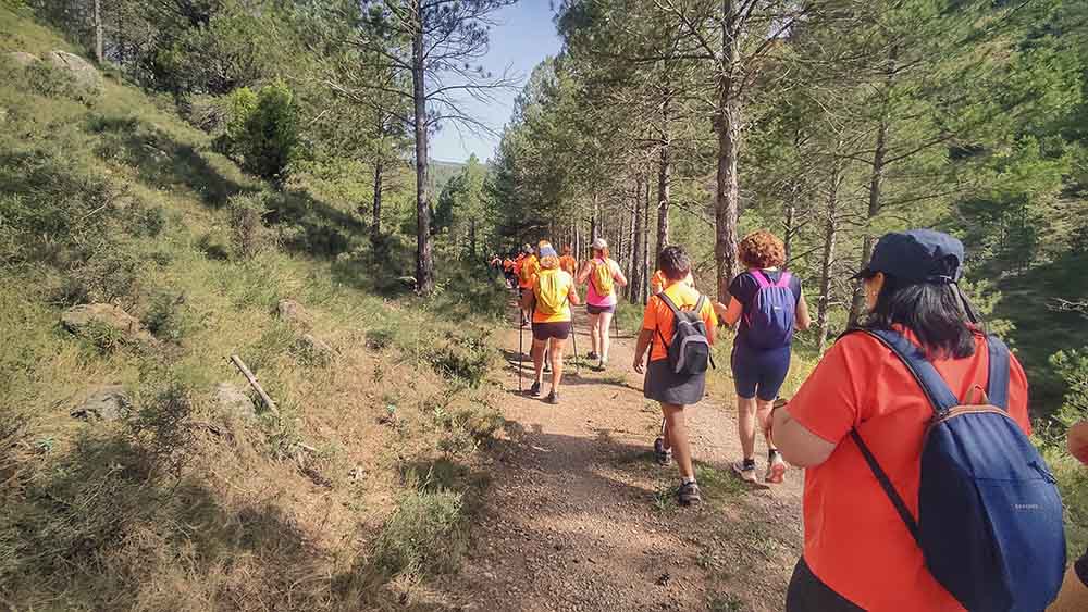 Las fuentes de Manzanera