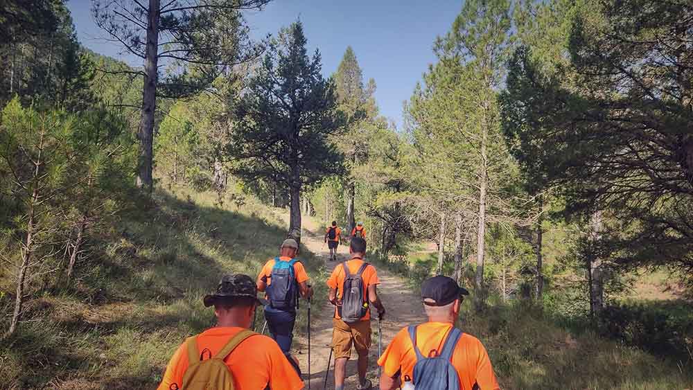 Las fuentes de Manzanera