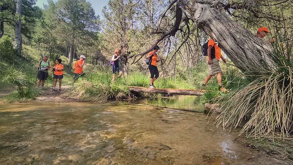 Las fuentes de Manzanera