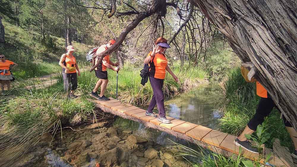 Las fuentes de Manzanera
