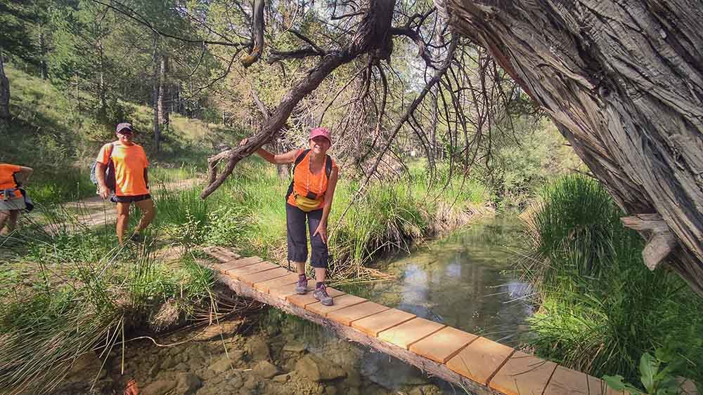 Las fuentes de Manzanera