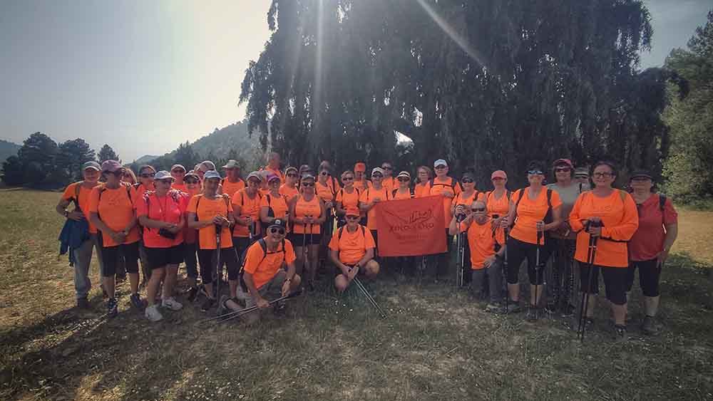 Las fuentes de Manzanera