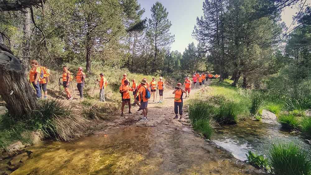 Las fuentes de Manzanera