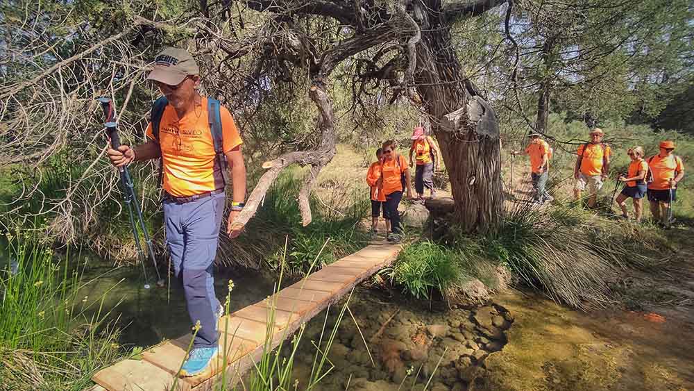 Las fuentes de Manzanera