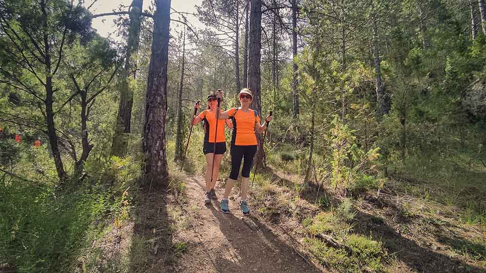Las fuentes de Manzanera