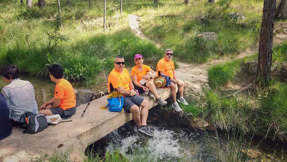 Las fuentes de Manzanera