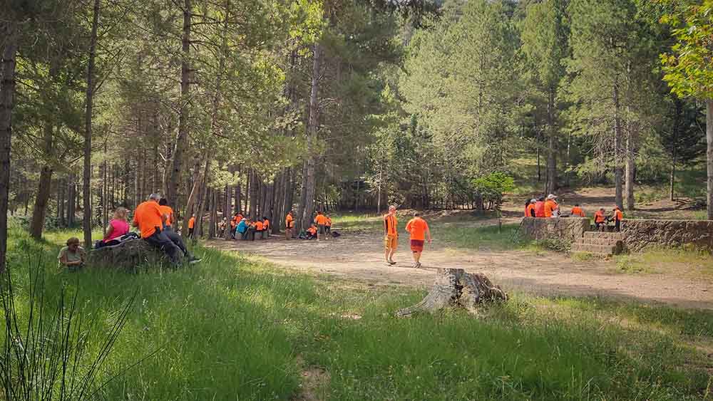 Las fuentes de Manzanera