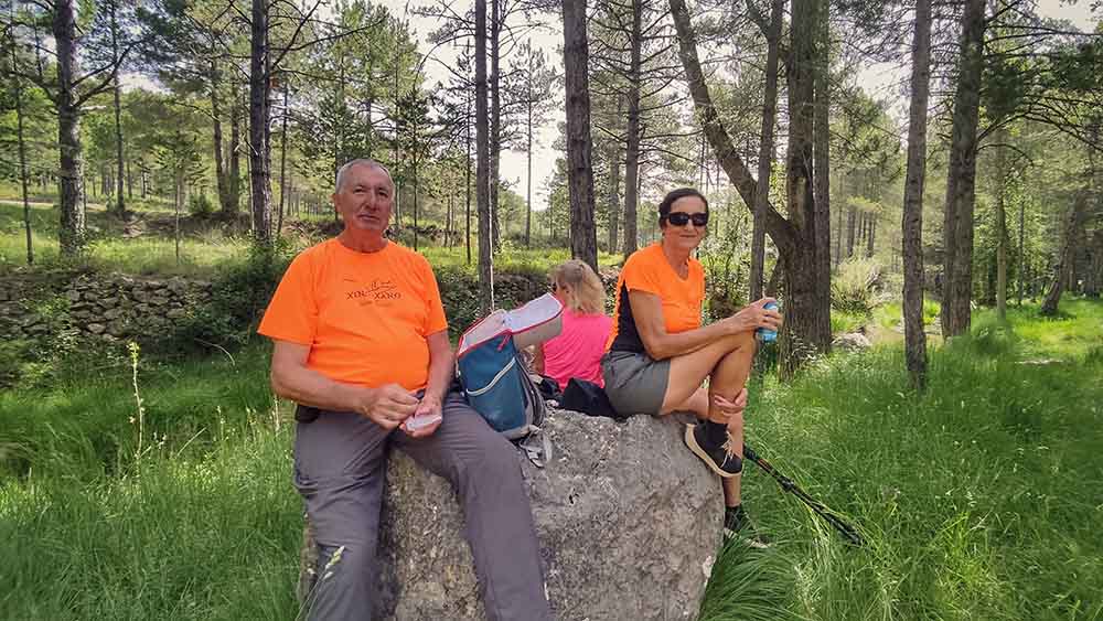 Las fuentes de Manzanera